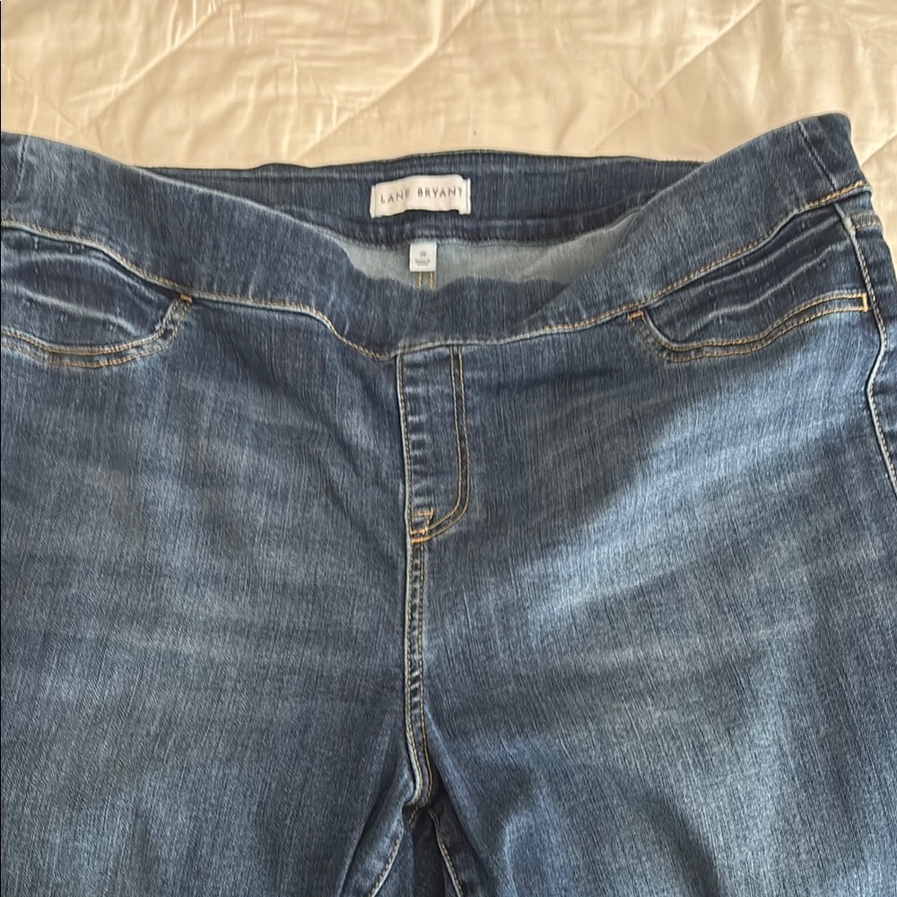 Lane Bryant Blue Jeggings with Stretchy Waistband